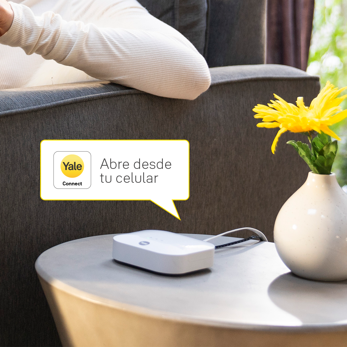 Módulo de conexión Yale Connect HUB + Zigbee YMF - YDF